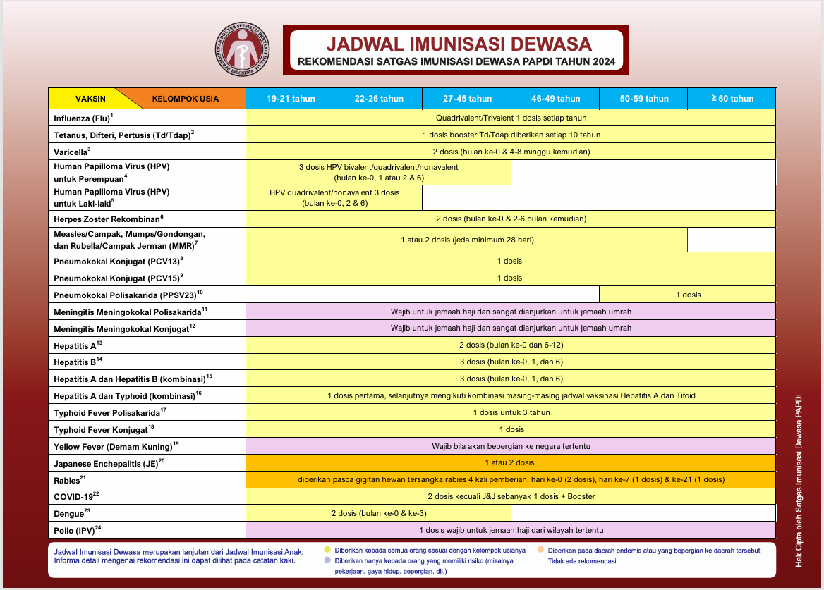 Jadwal Imunisasi Dewasa PAPDI 2024 